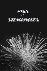 Hyas and Stenorhynchus marine crustaceans' Poster