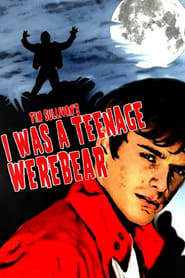 I Was a Teenage Werebear' Poster