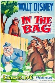 In the Bag' Poster