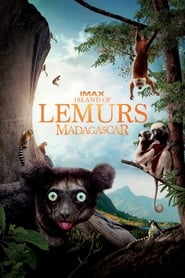 Island of Lemurs Madagascar' Poster