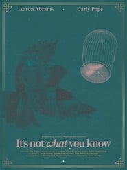 Its Not What You Know' Poster