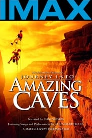 Journey Into Amazing Caves' Poster