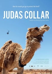 Judas Collar' Poster