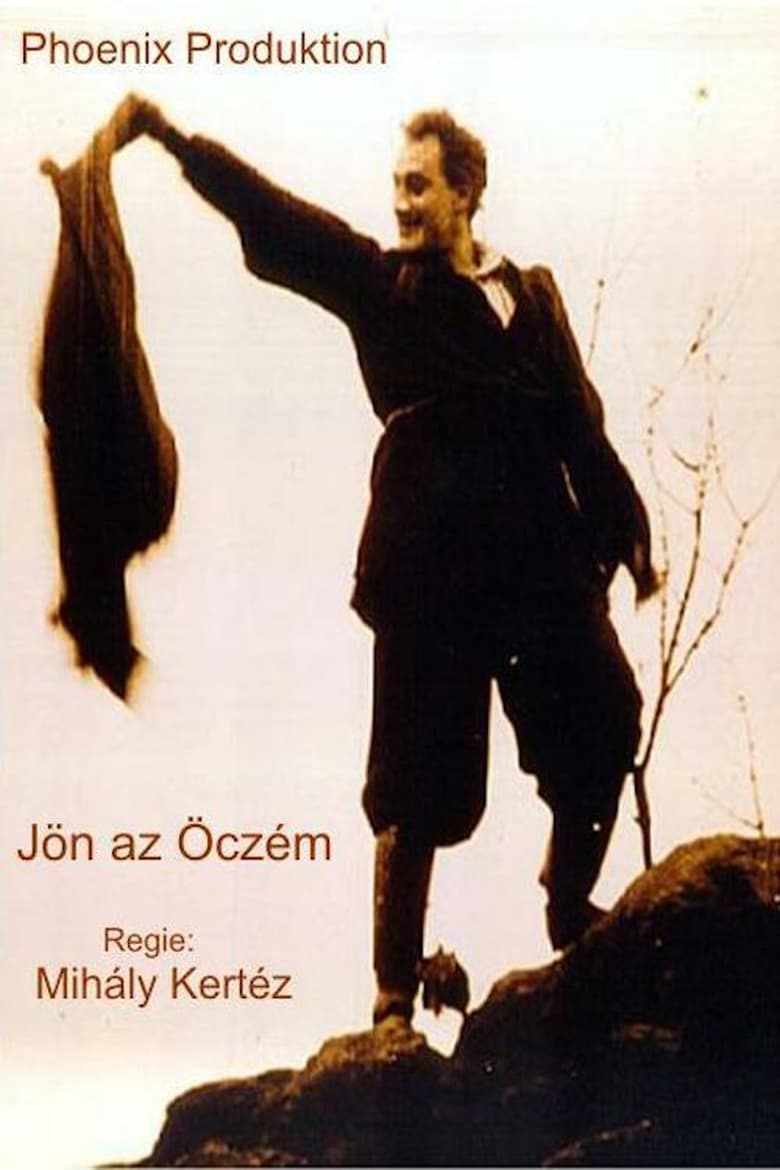 Jön az öcsém Poster