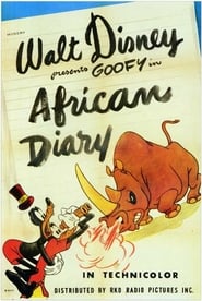African Diary' Poster