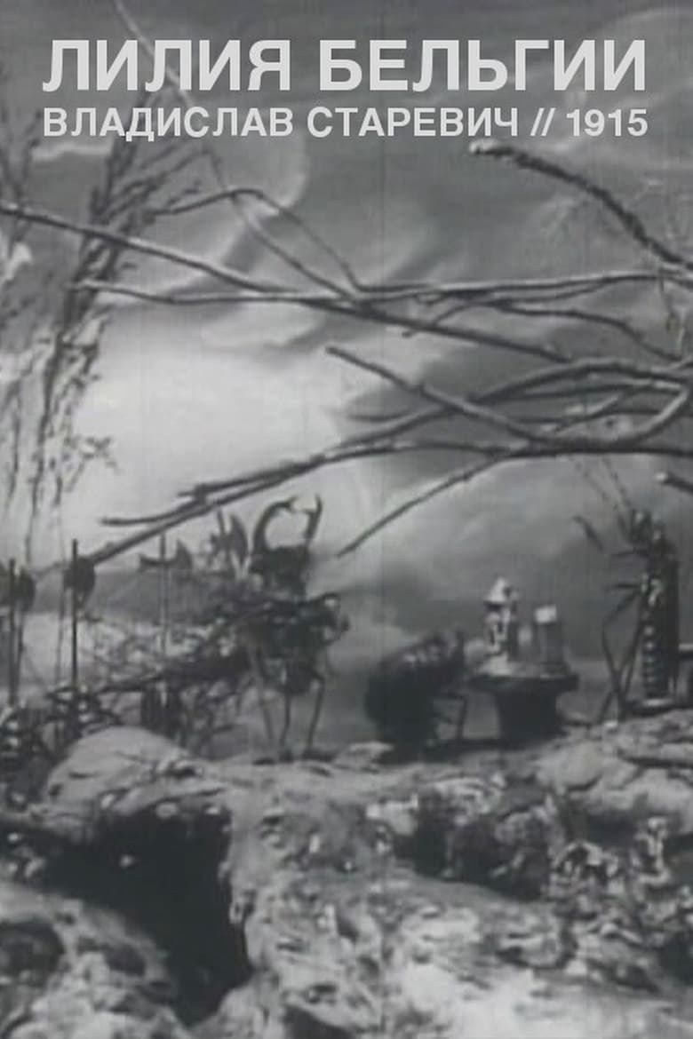 Liliya Belgii Poster