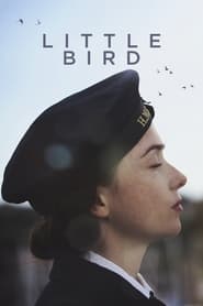 Little Bird' Poster