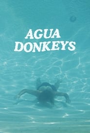 Agua Donkeys' Poster