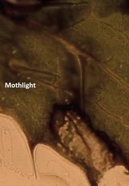 Mothlight' Poster