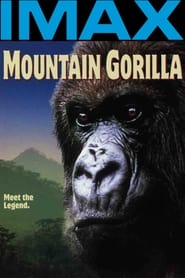 Mountain Gorilla' Poster