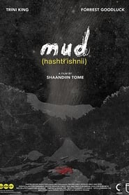 Mud' Poster