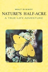 Natures Half Acre' Poster