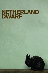 Netherland Dwarf' Poster