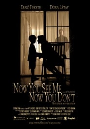 Now You See Me Now You Dont' Poster