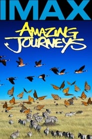 Amazing Journeys' Poster
