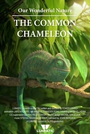 Our Wonderful Nature  The Common Chameleon