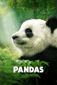 Pandas' Poster