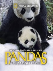 Pandas The Journey Home' Poster