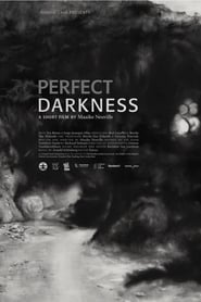 Perfect Darkness' Poster