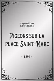 Pigeons sur la place SaintMarc' Poster