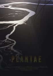 Plantae' Poster