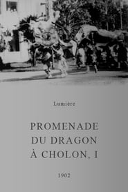 Promenade du dragon  Cholon' Poster