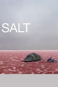 Salt' Poster