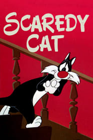 Scaredy Cat' Poster