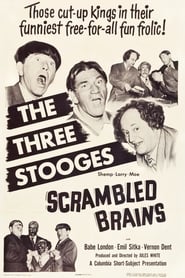 Scrambled Brains' Poster