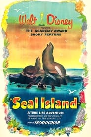 Seal Island' Poster