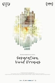 Separation Vivid Dreams' Poster