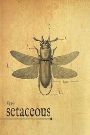 Setaceous' Poster