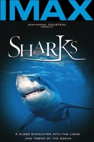 Sharks 3D' Poster