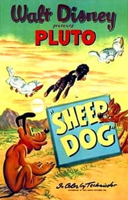 Sheep Dog' Poster