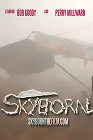 Skyborn' Poster