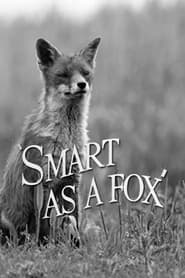 Smart as a Fox' Poster