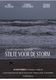 Stilte voor de Storm' Poster