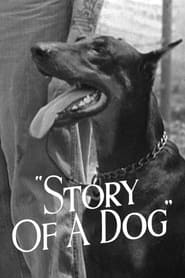 Story of a Dog' Poster