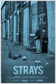 Strays' Poster