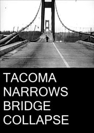 Tacoma Narrows Bridge Collapse