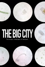 The Big City' Poster