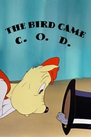 The Bird Came COD
