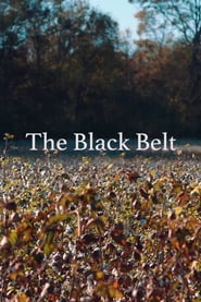 The Black Belt' Poster