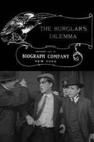 The Burglars Dilemma' Poster