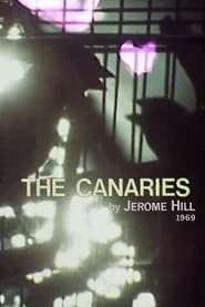 The Canaries' Poster