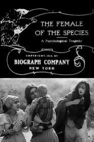 The Female of the Species' Poster