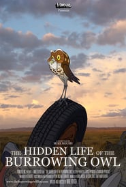 The Hidden Life of the Burrowing Owl' Poster