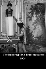 The Imperceptible Transmutations' Poster