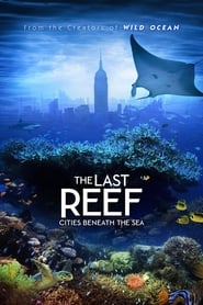 Streaming sources forThe Last Reef