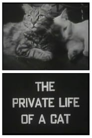 The Private Life of a Cat' Poster